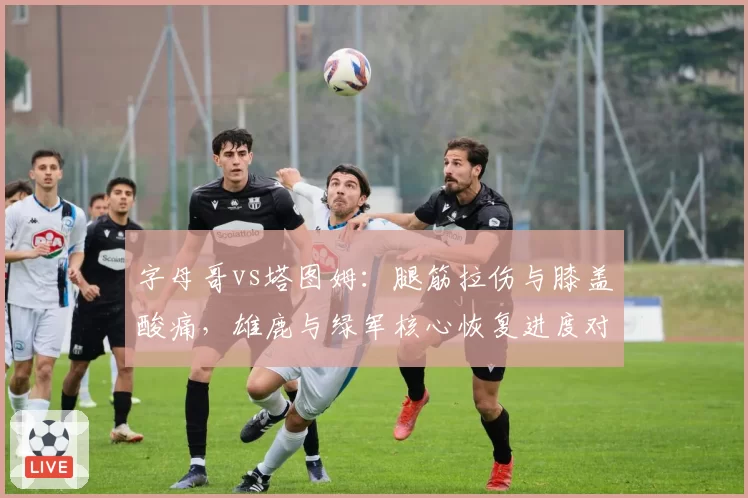 字母哥vs塔图姆：腿筋拉伤与膝盖酸痛，雄鹿与绿军核心恢复进度对比