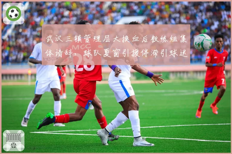 武汉三镇管理层大换血后教练组集体请辞，球队夏窗引援停滞引球迷震怒